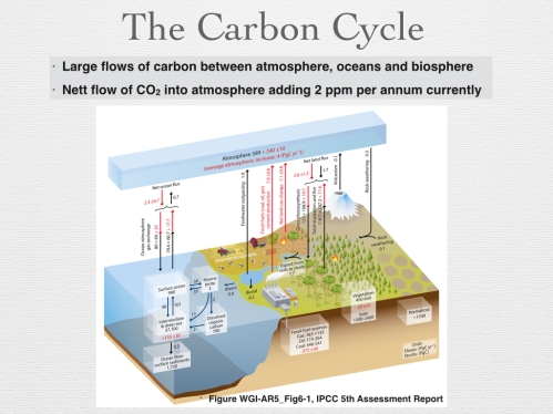 Figure 8 - Carbon Cycle